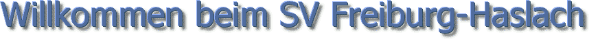 Banner 2_Willkomen beim SV3